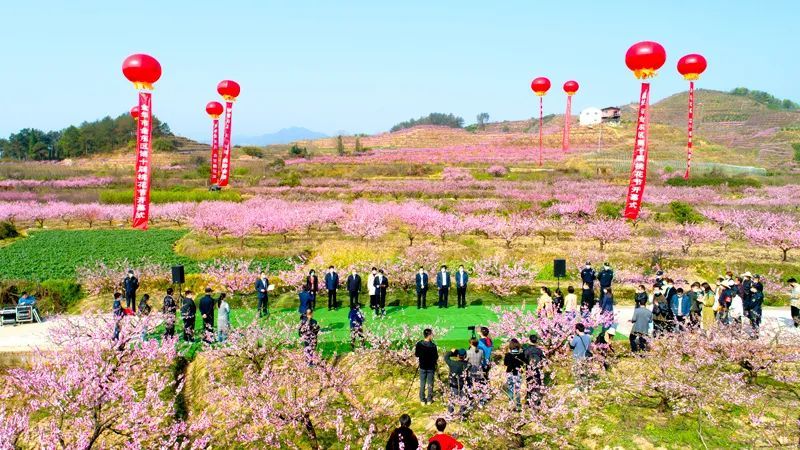 金东区第十届源东桃花节开幕