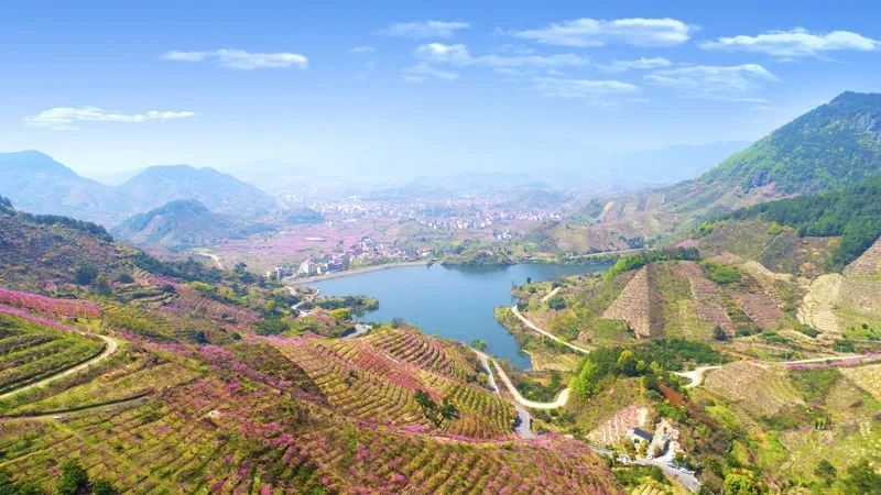 连续多年举办的源东桃花节已经成为金华及周边地区群众不可或缺的春色