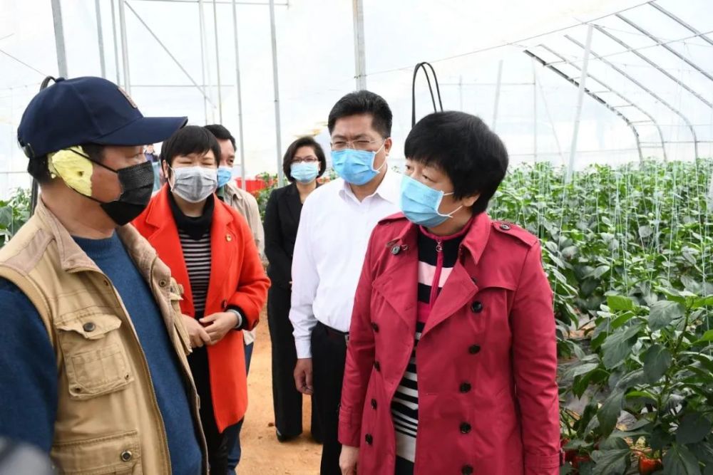 唐敬春到平桂区调研民营企业家挂任"荣誉村主任"及党外干部队伍建设