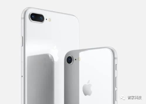 苹果预计推出5 5英寸大屏幕平价款iphone Se 2手机