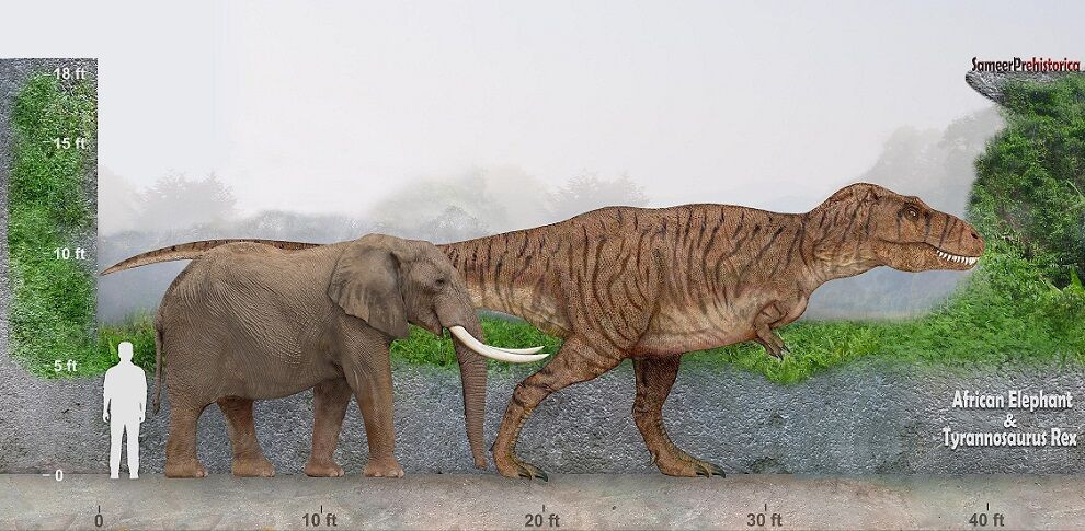 如果霸王龙生活在今天的非洲大草原会发生什么