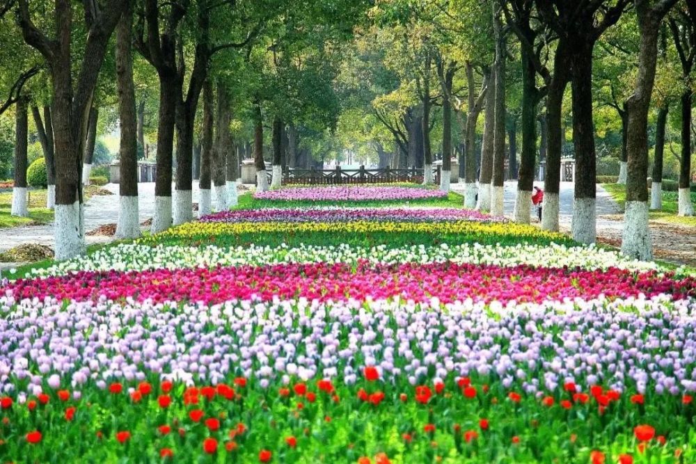 2020上海浦东初中排名_一套学区房对准多所好学校!2020年上海30组小学+初中