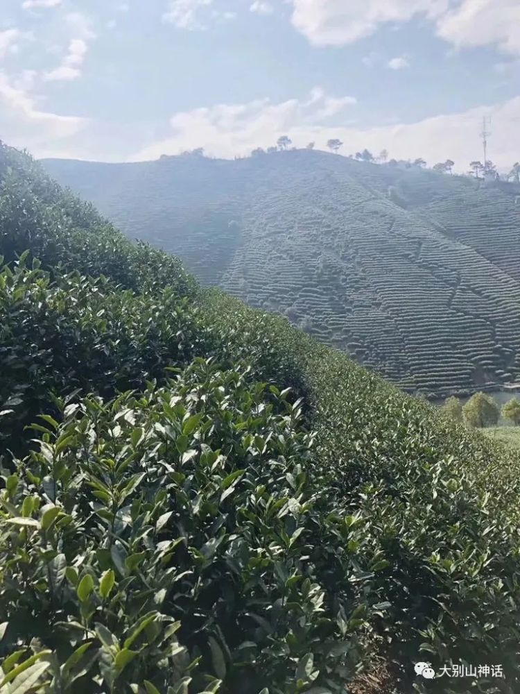 上联 上殿云霄生羽翼 如何对下联 腾讯新闻