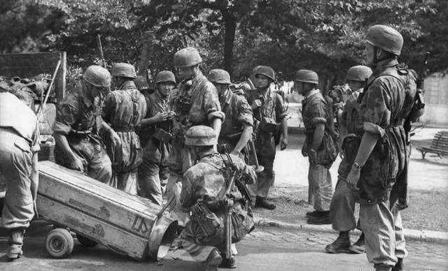 二战中被忽略的单兵神器,打坦克拔地堡,德军无后坐力炮