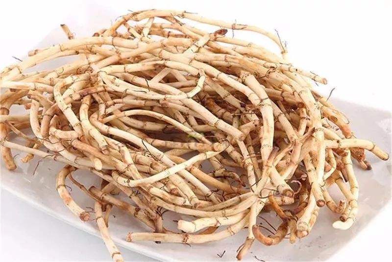 天然"青霉素"来了,女人常吃一些,杀菌消炎,远离妇科炎症