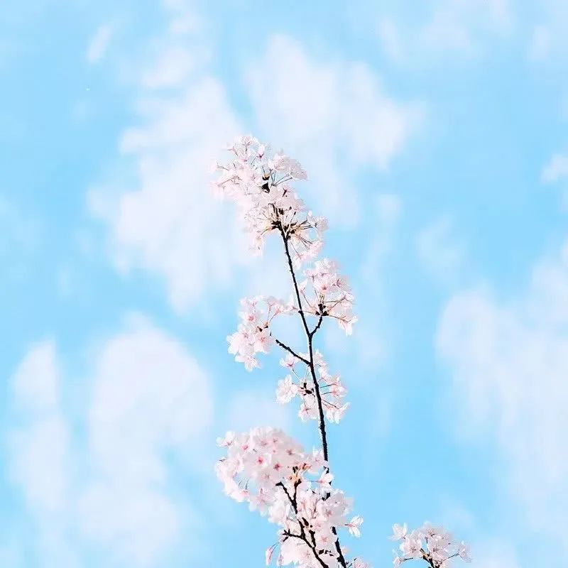 背景图|非常适合的朋友圈背景图_腾讯新闻