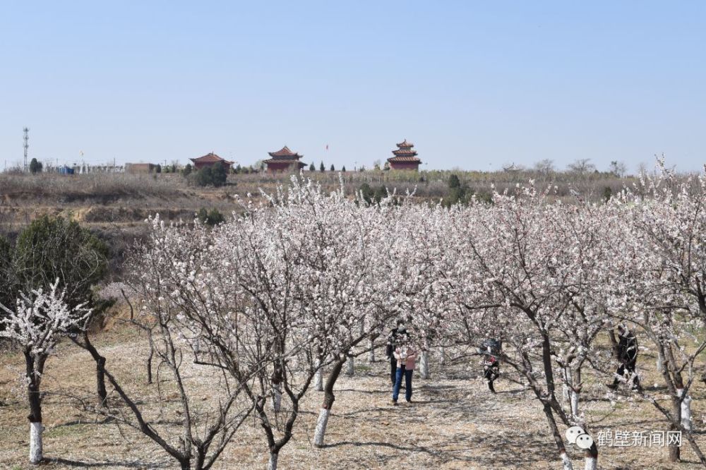 鹤壁南山公园图片