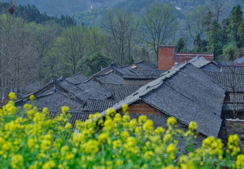 河南省新县沙窝镇朴店村宋冲真美!