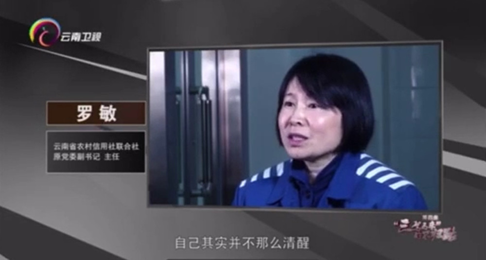 罗敏的落马可谓是引发了"多米诺骨牌"效应.