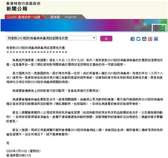 香港再现新冠确诊患者宠物犬检出阳性 如何看待人兽共患病 腾讯新闻