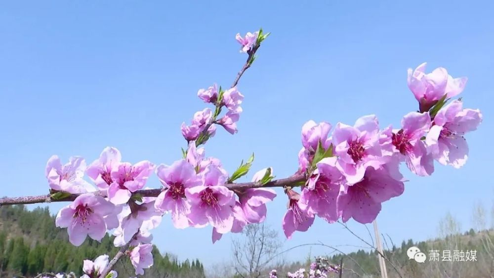 說說陽光明媚心情好的句子_明媚說說陽光心情短語_陽光明媚的心情說說