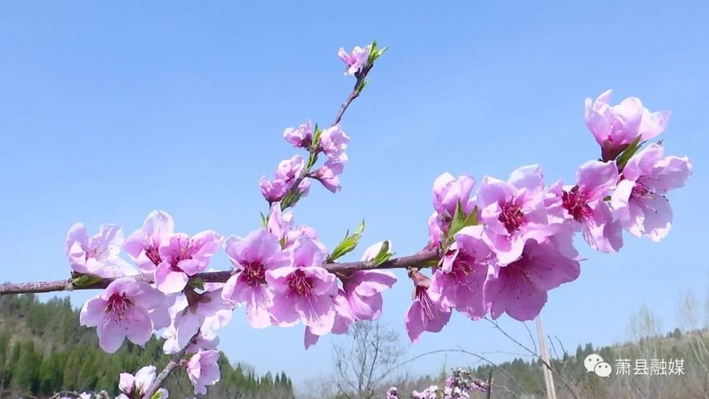 说说阳光明媚心情好的句子_明媚说说阳光心情短语_阳光明媚的心情说说