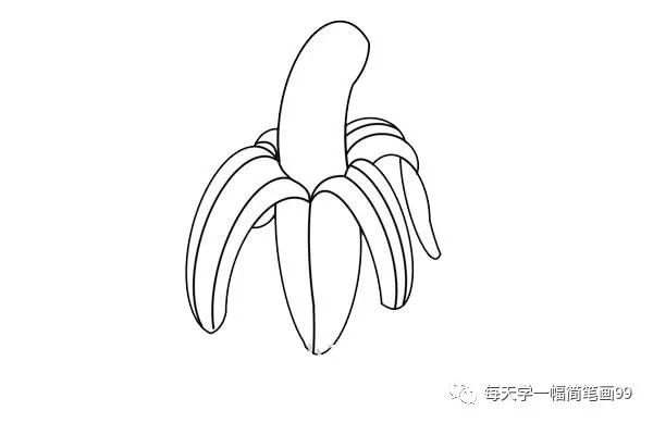 每天学一幅简笔画香蕉简笔画画法步骤图片
