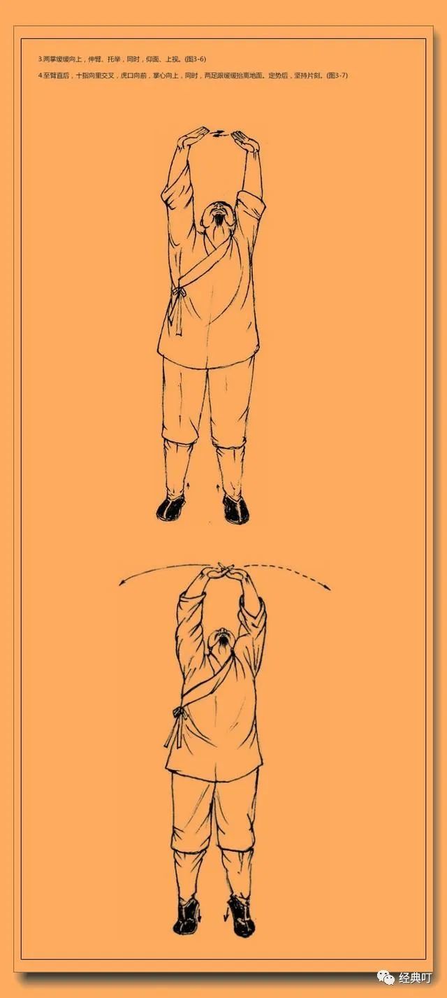 武当武术秘籍丹家道功八段锦传承百年的武道精华