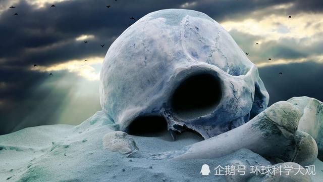 灭绝|濒危物种越来越多，生物灭绝正在加速进行？要恢复可能需要百万年