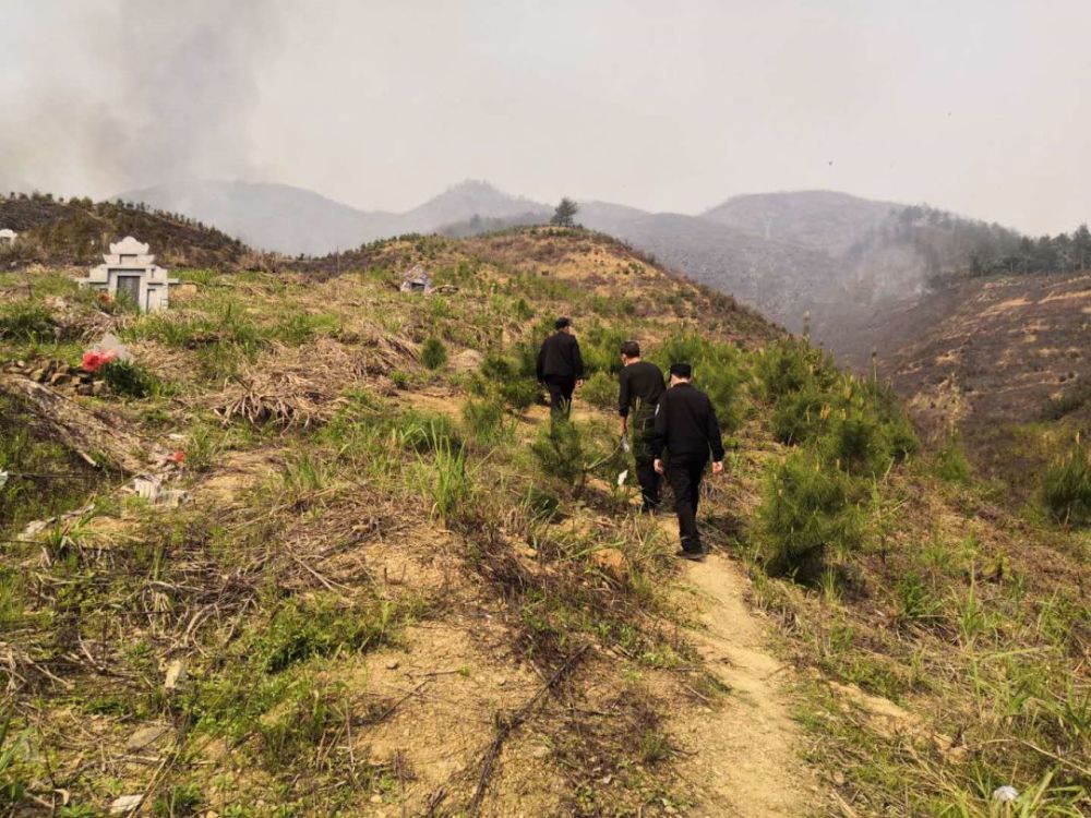 阳新一地发生森林火灾,过火面积约50亩!起因竟是