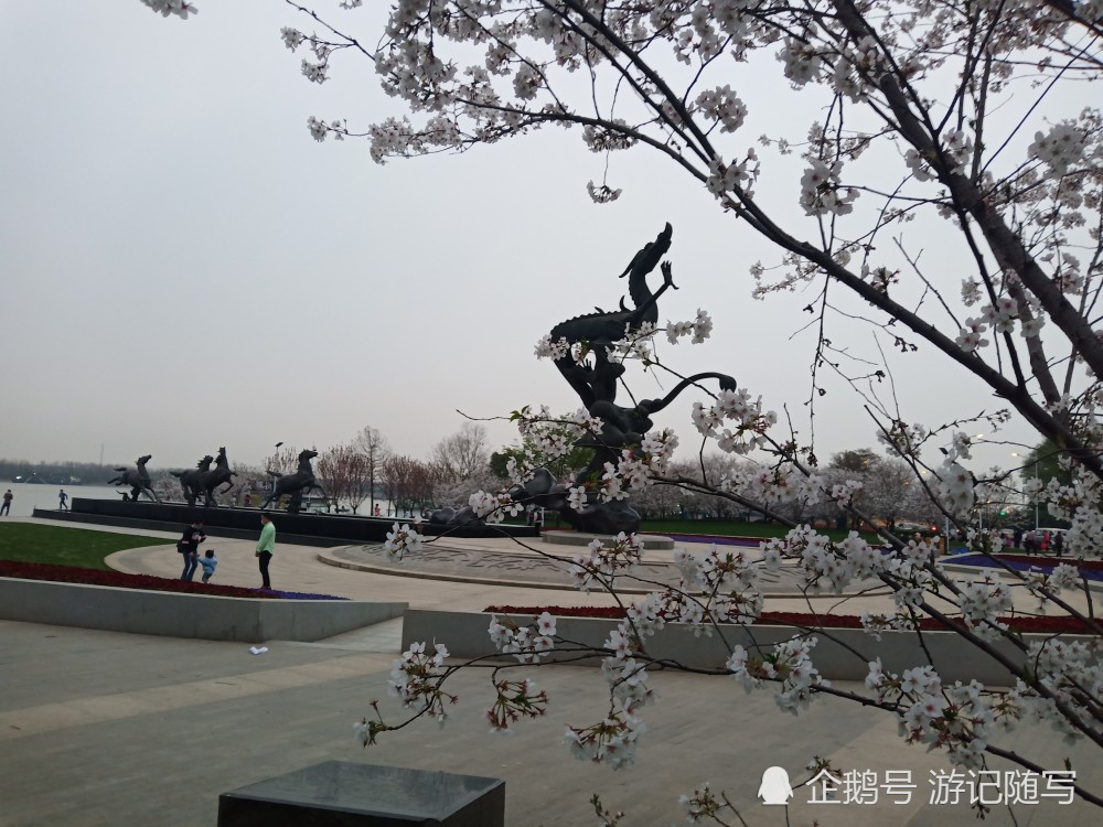 幕府山下樱花开放 腾讯新闻