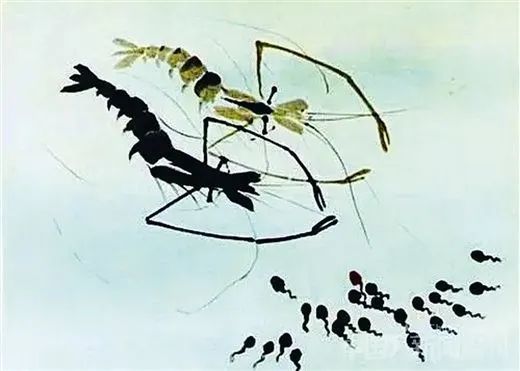 《小蝌蚪找妈妈》1960年