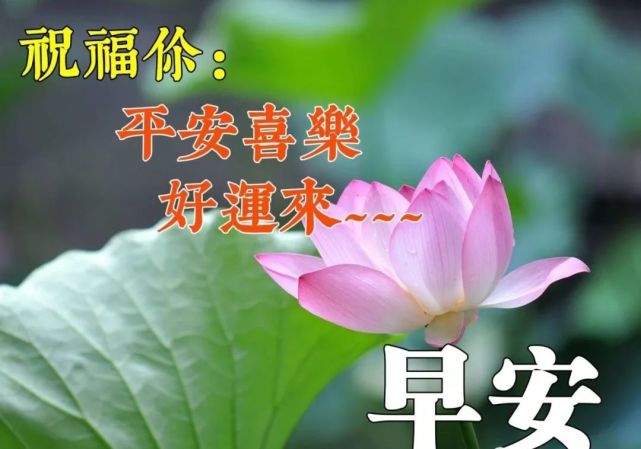 4月25日清晨群發早上好問候祝福語動態圖片 早晨好問候動態圖片表情帶