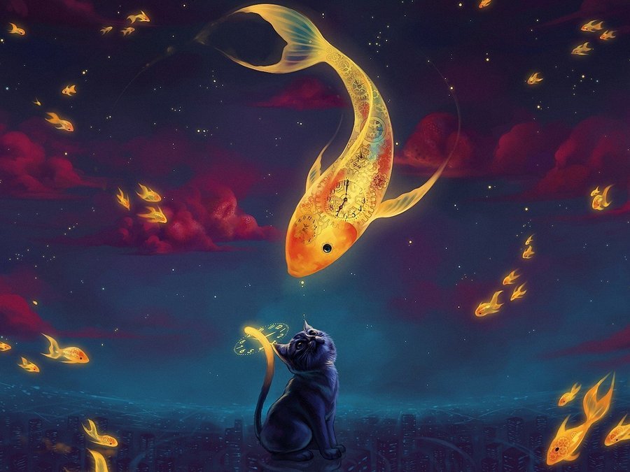 短篇寓言故事 猫与鱼的交易 腾讯新闻