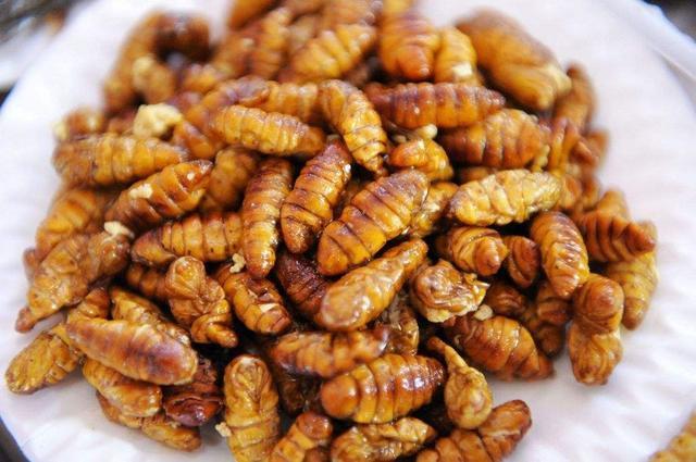 第六名:油炸蚕蛹.