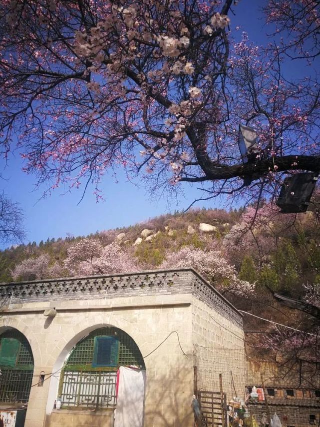 太原桃花沟