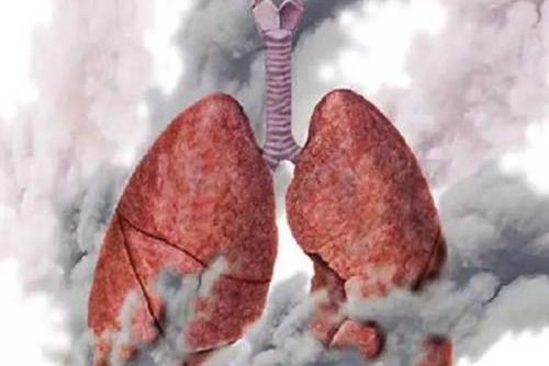 认识好支气管炎和慢阻肺,为避免肺功能下降,我们能做什么?