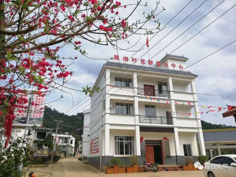 藤县这个村太美了桃花千年