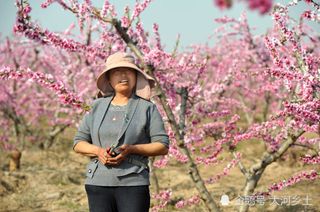 山西農村大姐包百畝灘地當老闆,曾年掙40萬,說年輕人不願幹