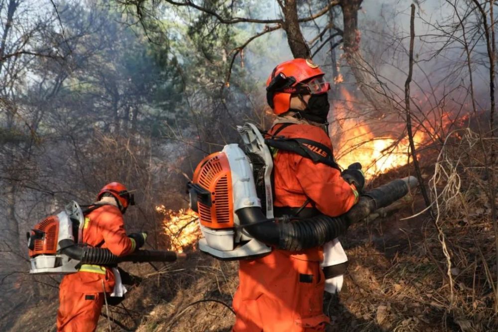 甘肃省森林消防总队已投入灭火作战