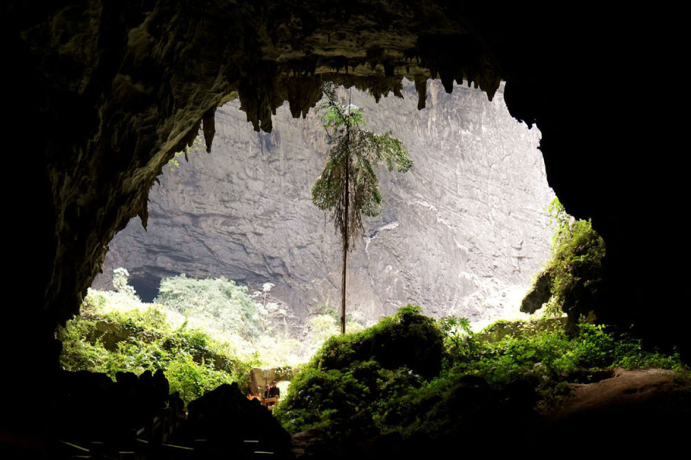 杭州人,竟是10万年前的"乌龟洞人"_云南生活网
