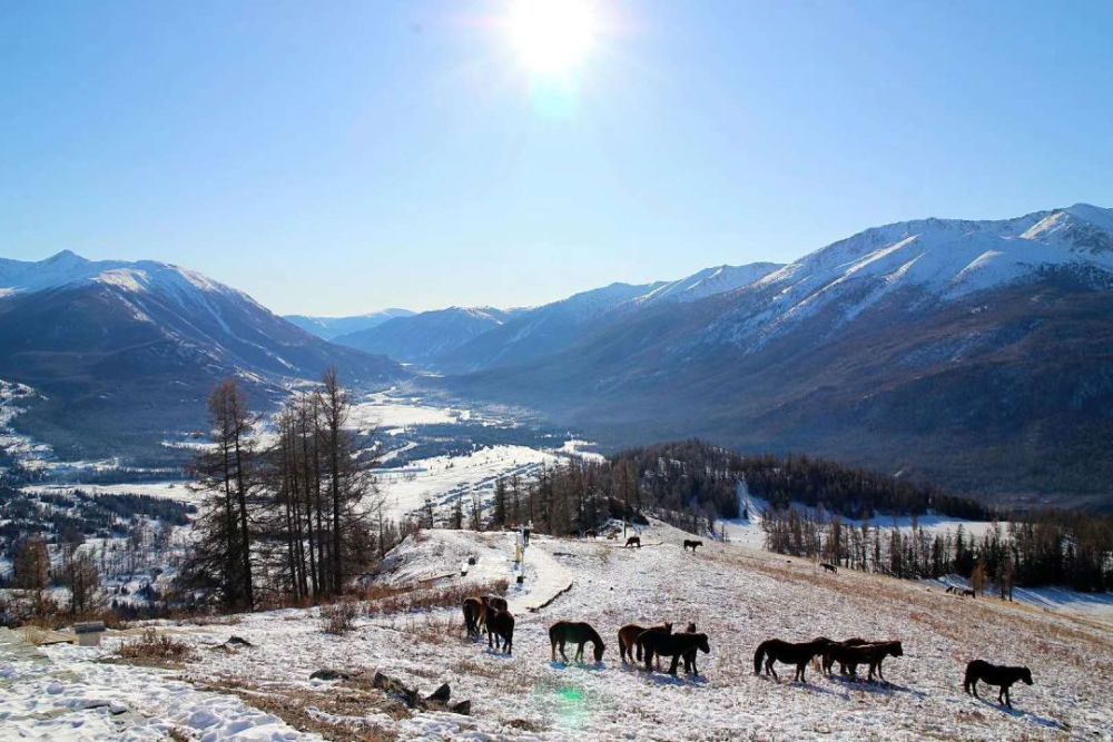 雪山和草原▲(摄影/李学亮)呵护着山前的河谷牧场戍