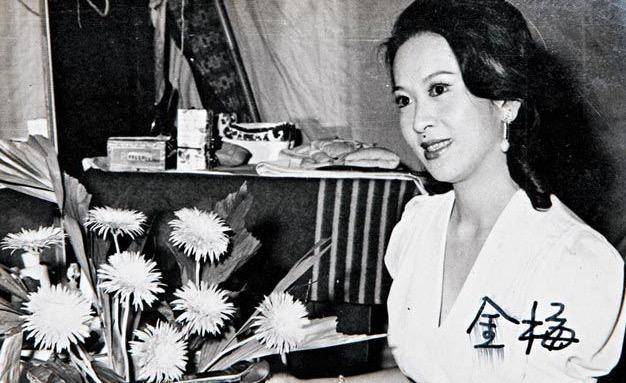 当年,新马师曾还未过世的时候,因为各种复杂的原因已与祥嫂不和,这位