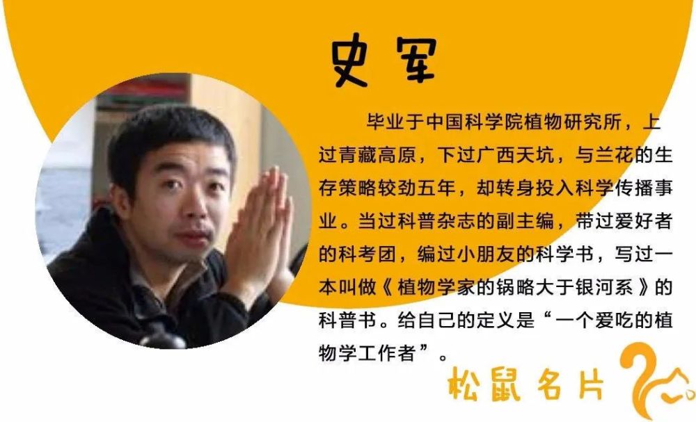 芹菜|我们常说的“献芹”，到底献的是哪种芹？