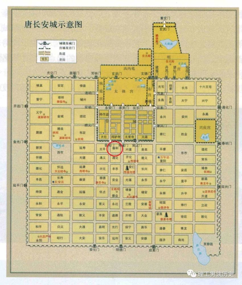 中唐医生郑注 小人的奋斗一生 一场豪赌输了全部 腾讯新闻