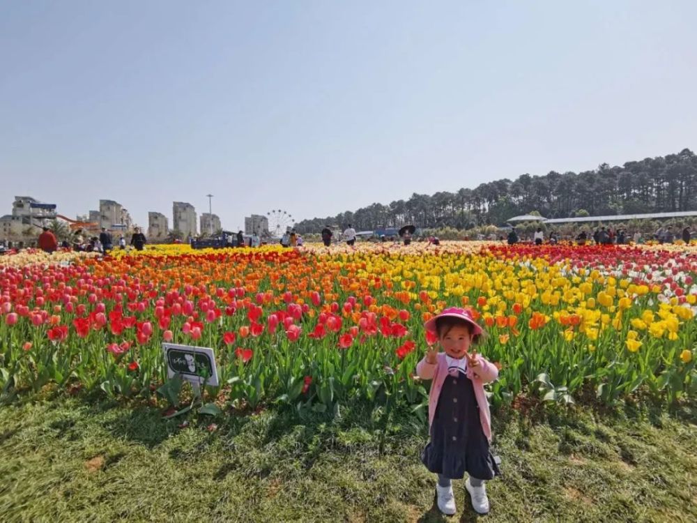 2020仲春長沙賞花地圖_騰訊新聞