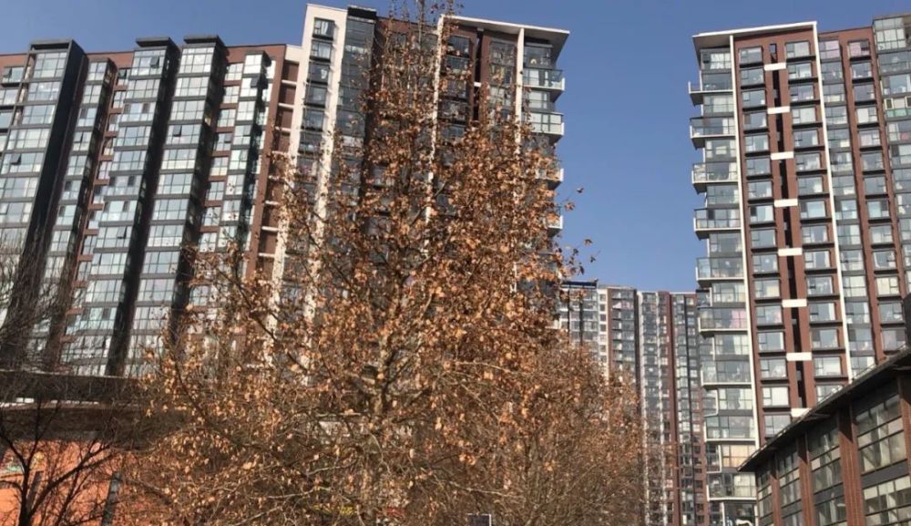 西安房产中介的真相,比《安家》里更狗血