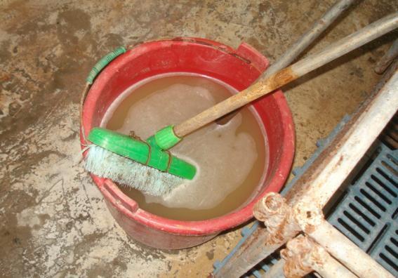 产后母猪护理要点 窝均断奶数提高2头的管理方法 腾讯新闻