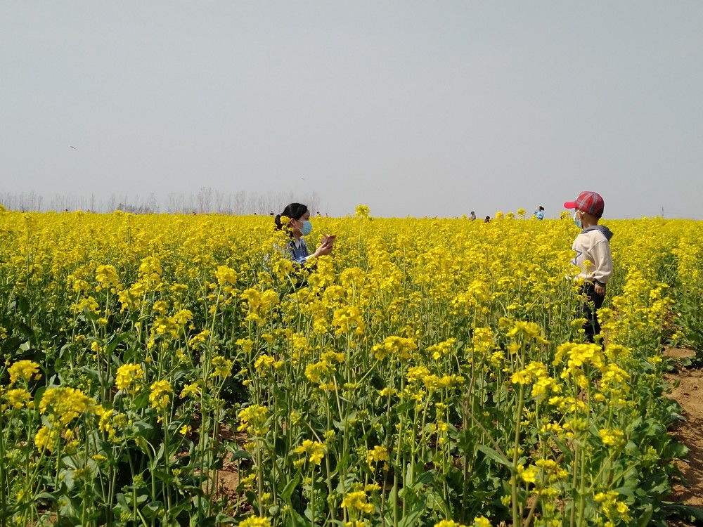 展开 山水之线 蓝图 今年临沭文旅品牌这样打造 腾讯新闻