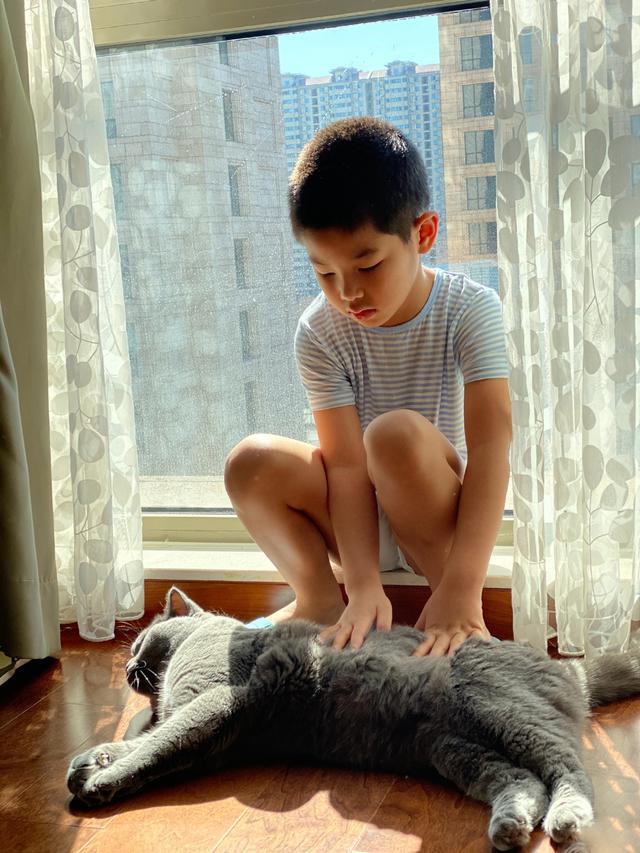 沙溢儿子长大了安吉近照曝光长成帅小伙5岁小鱼儿快有哥哥高