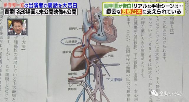 对不起 我可能理解错了 冰糖炖雪梨 所谓的 专业 腾讯网