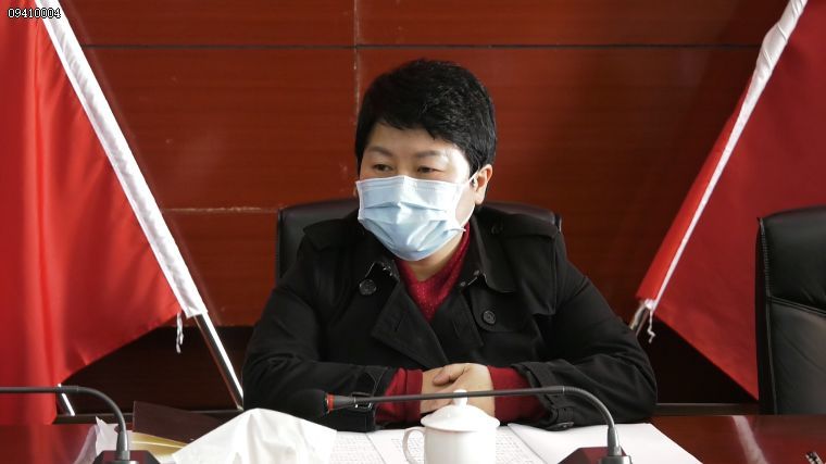 第七届安顺市旅游产业发展大会第七次工作推进会,区党工委书记代敏,区