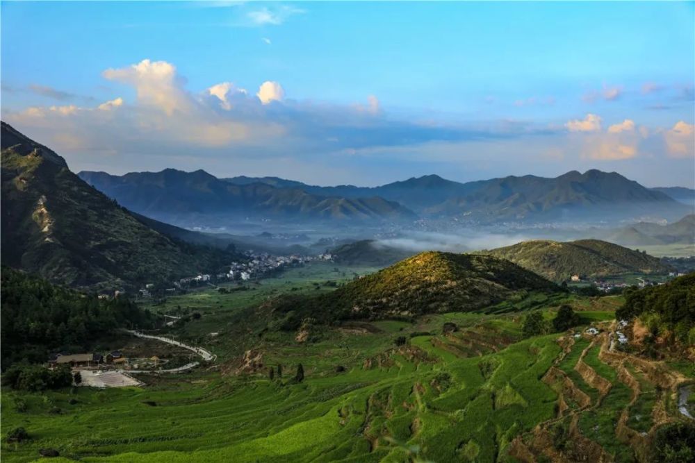 李坪亮 摄《荷花"美"》李坪亮 摄《快乐小生》李坪亮 摄《前山云海》