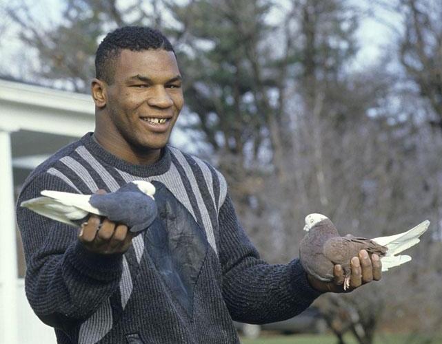 泰森宠物死后,收废品的人尝试了一次!