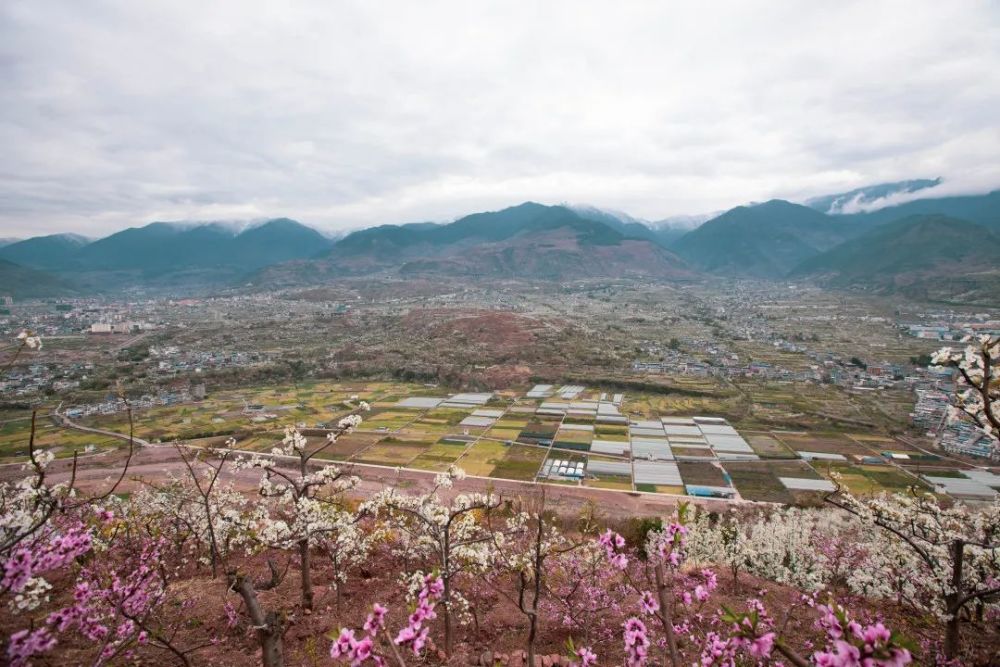 汉源又双叒叕上央视啦10万亩梨花绽放延绵百里景色如画