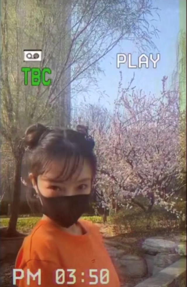 李小璐樱花树下舞动身姿 配文直言我爱你 视频拍摄者身份引猜测 腾讯网
