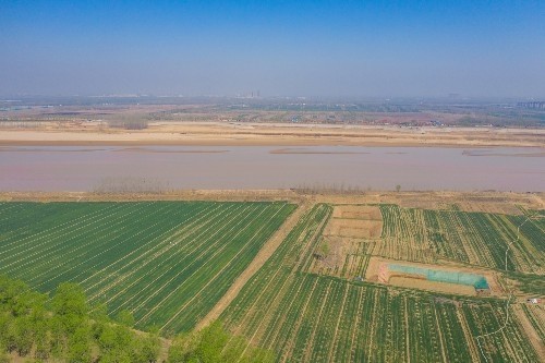 航拍济南黄河大坝,柳绿花红春意浓_腾讯新闻