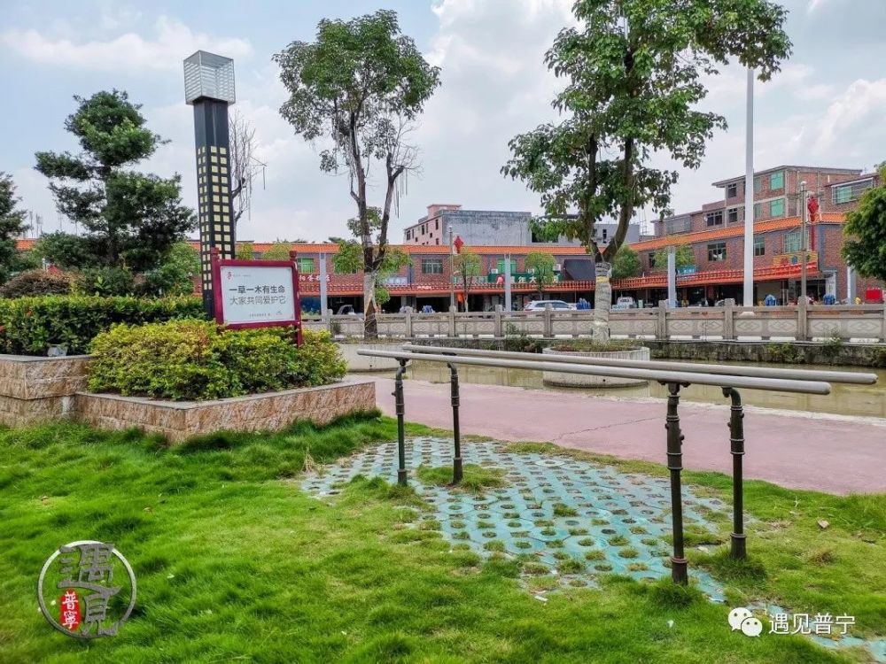 真美普宁占陇镇这个村的村容村貌真美