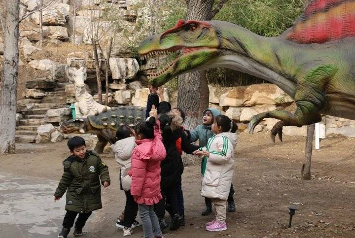 花海澎湃,灯光璀璨!临清宛园景区3月24日起恢复对外开放