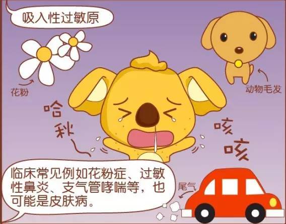 春季过敏别担心 一年一度的魔咒克星已上线 腾讯新闻